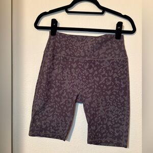 Buffbunny Collection Shorts 8”